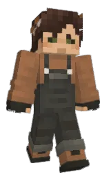 Minecraft skin — Classic model