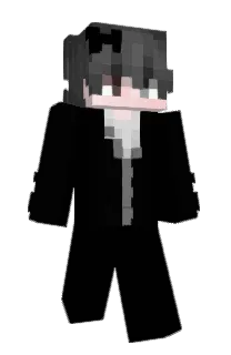 Front of vailan's skin