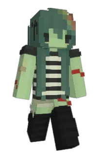 Front of Minecraft skin