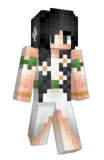 amdflip's Minecraft skin