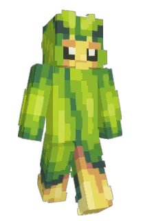 Front of Swadloon's skin