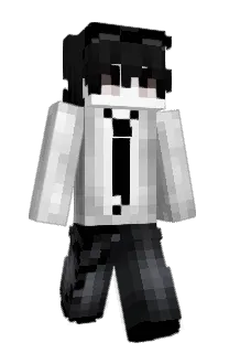 besterhomie's Minecraft skin