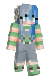 Skin preview