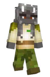 Skin preview
