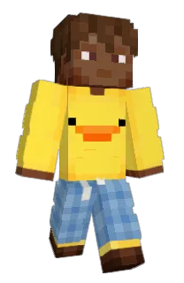 Front of intersecato's skin