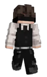 cod gray and swiss coffee Minecraft skin — Slim model — first worn by MrVector_