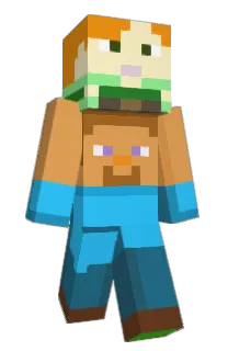 Front of gronscott's skin