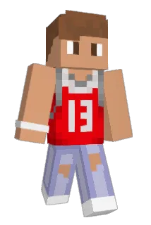 dbeejr Minecraft avatar full body