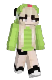 Skin preview