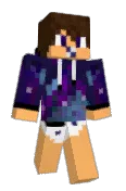 Stevechecker