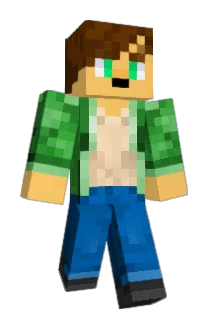 dblsin Minecraft avatar full body