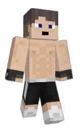 Classic Minecraft skin
