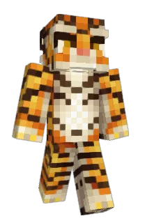 Front of TTOYY's skin