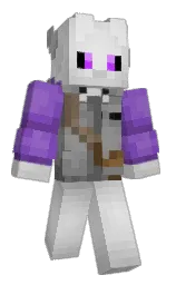 Minecraft skin — Classic model