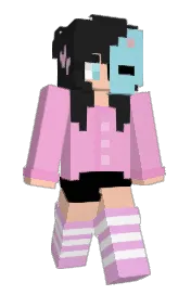 Skin preview