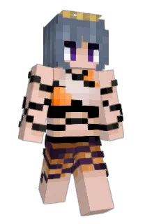 Front of volidex's skin