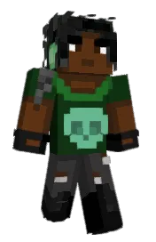 Skin preview