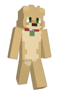 Front of PUMMELEDPINATA's skin