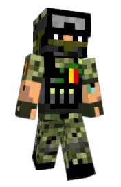Skin preview