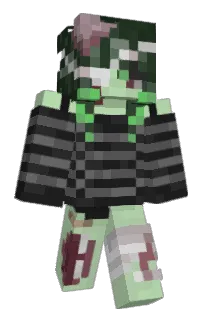 Front of zombingus's skin