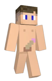 Front of piggylama's skin