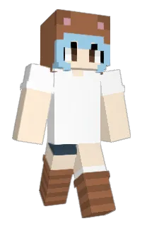 Front of codrin's skin