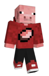 Front of PigSigma's skin