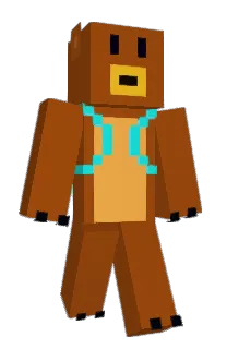 Front of vntss's skin