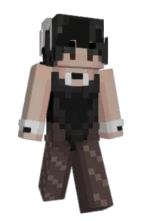 Front of DgtlIntrface's skin