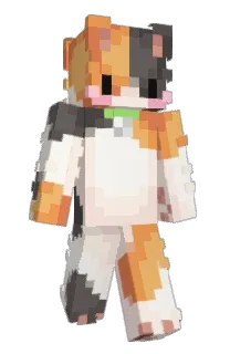 Front of waschel's skin