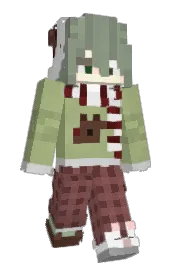 Skin preview