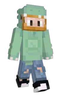 Front of TisHoodie's skin