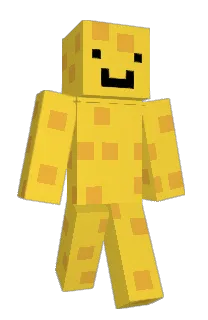 Front of RandomIsFr's skin