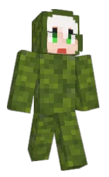 Classic Minecraft skin