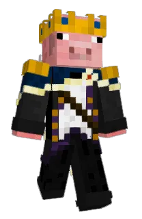 Front of Paperbagjay's skin