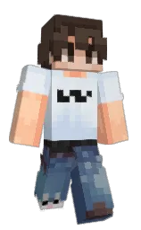 Minecraft skin — Classic model