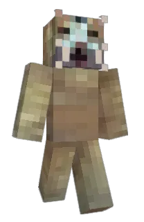 Front of fournow's skin