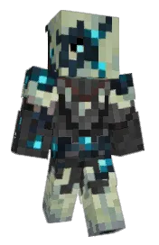 Skin preview