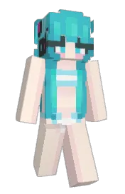 Skin preview
