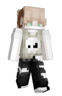 Front of pumookell's skin