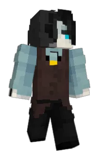 Front of RainforestVeil's skin
