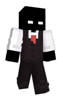 tkony_'s Minecraft skin