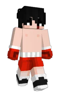Front of ZE4G's skin