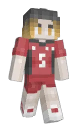 rossmjr's Minecraft skin wearing the Migrator cape