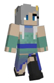 Skin preview