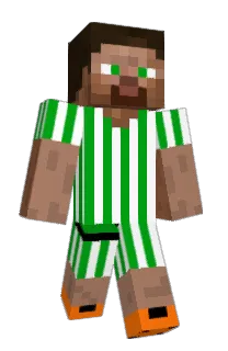 medin14's Minecraft skin