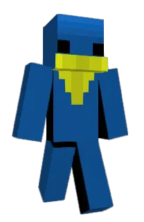 Front of Roizor's skin