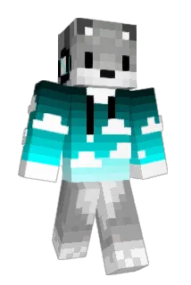 dcwilson Minecraft avatar full body