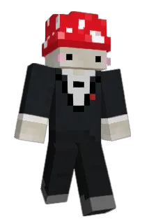 dcwz Minecraft avatar full body