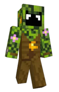 Front of pcstem's skin